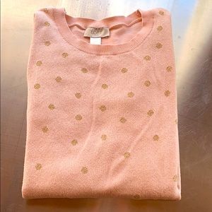 Loft Crew Neck Sweater Size Small
